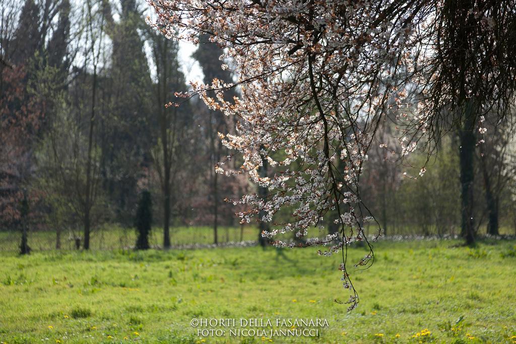 Country house Horti Della Fasanara