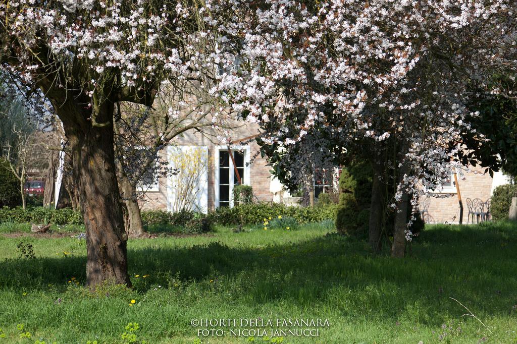 Horti Della Fasanara